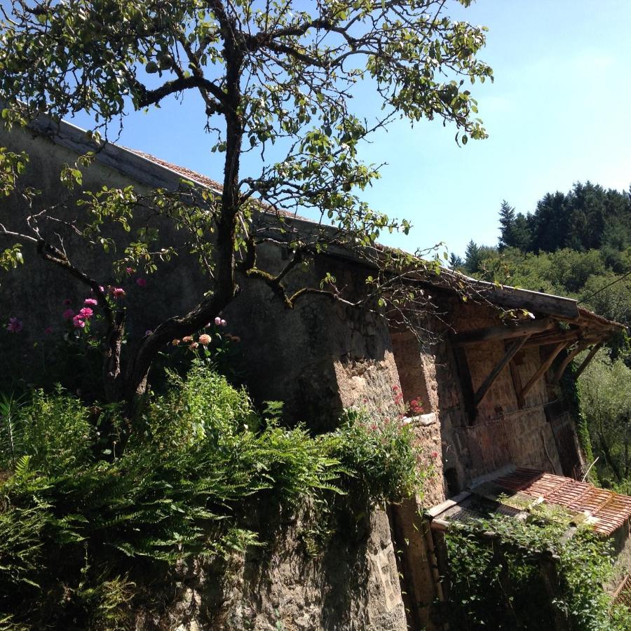 Chambre Privative Et Originale, A 20 Mn De Cluny Trivy Zewnętrze zdjęcie